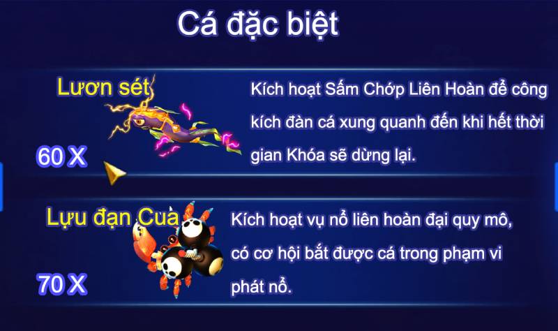 Hệ thống cá đặc biệt 