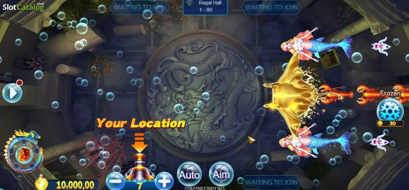 Tại sao Tiền Long đánh cá lại được dân chuyên yêu thích?