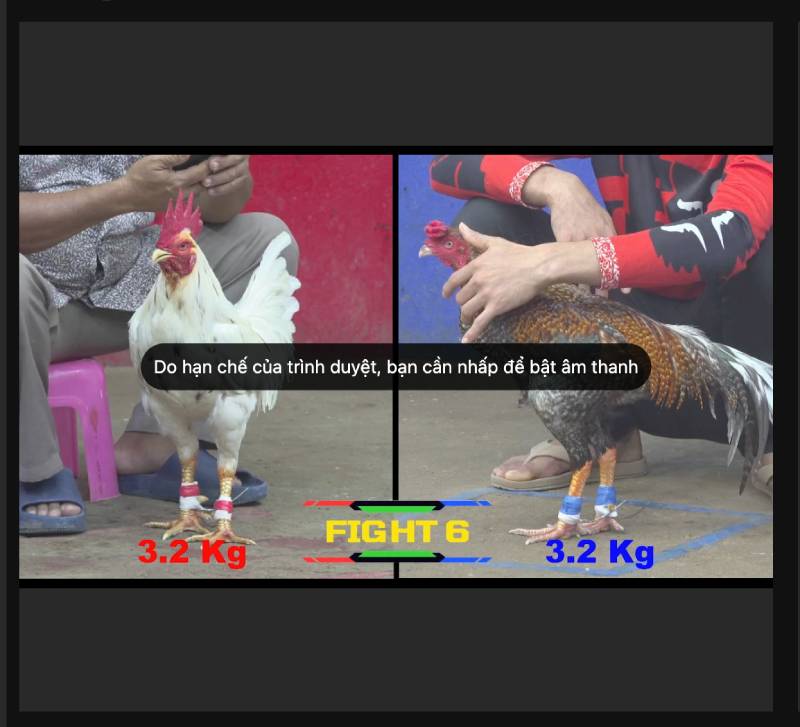 Link Vào Xem Đá Gà Không Chặn 32win – Mượt Mà, Không Gián Đoạn 3 Ưu điểm nổi bật của link xem đá gà không chặn 32Win